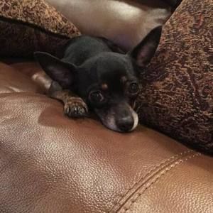 Meet your Posher, Phyllis